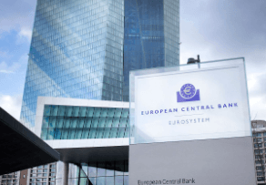 The European Central Bank (ECB)